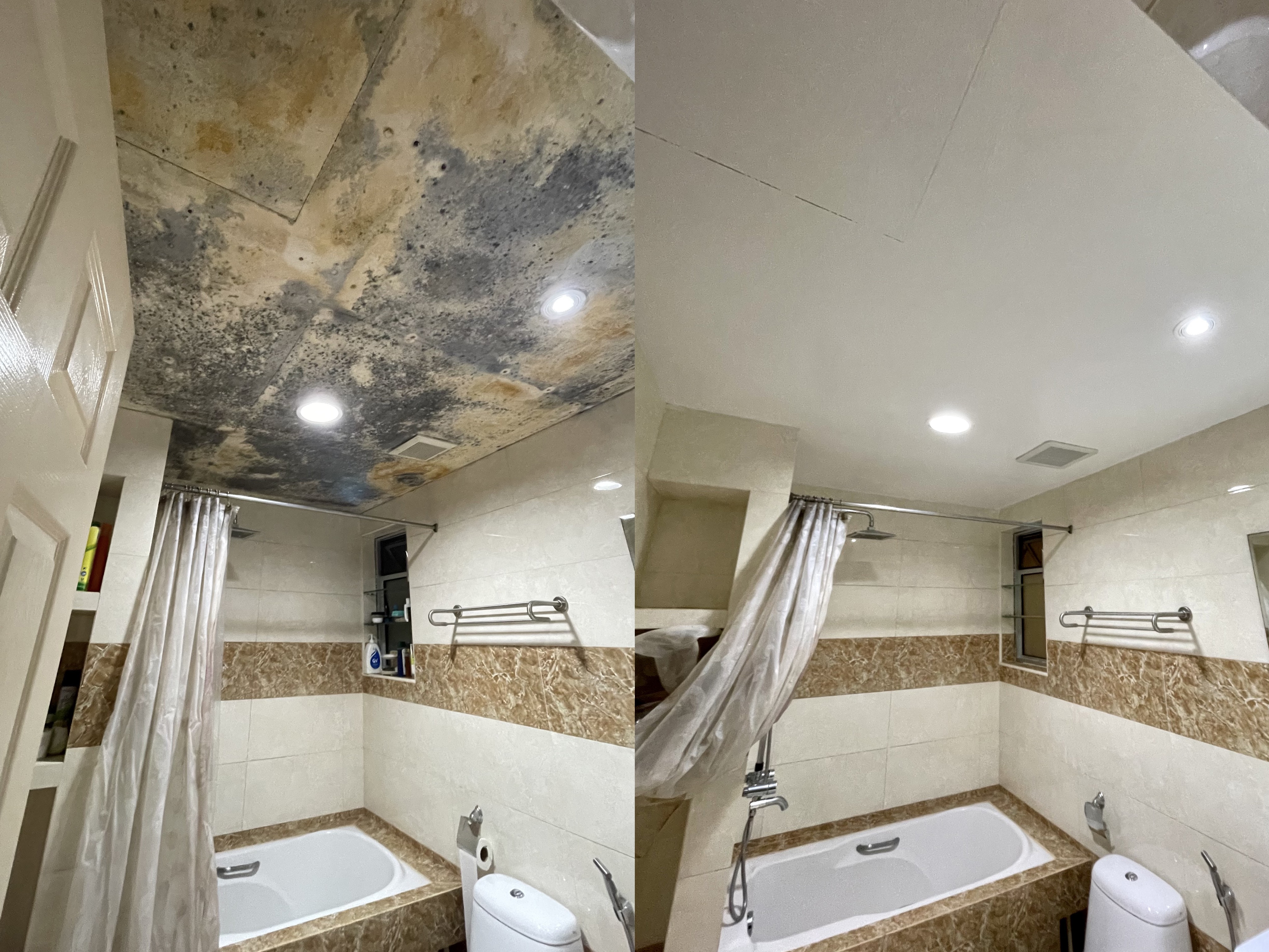 Remove Mould From Bathroom Ceilings